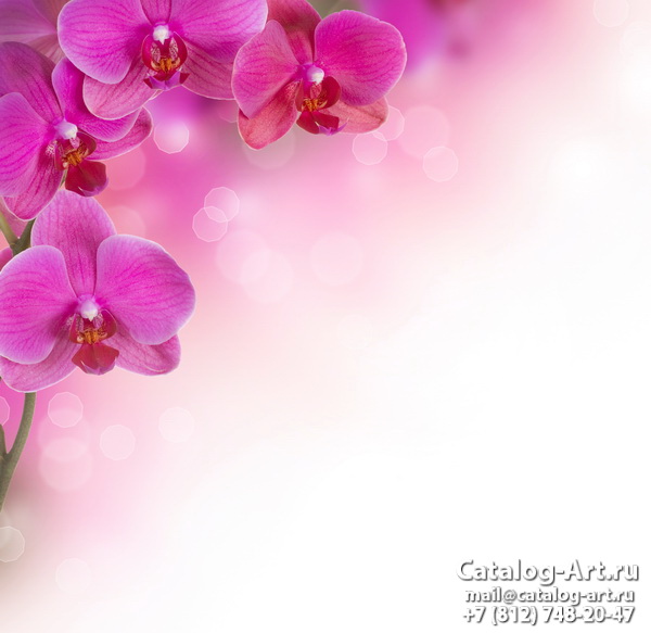 Натяжные потолки с фотопечатью - Розовые орхидеи 94